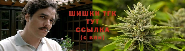 амф Арсеньев