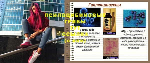 амф Арсеньев