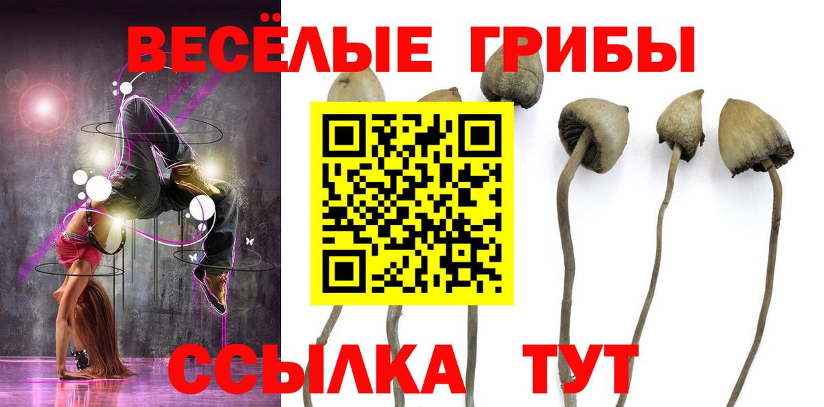 Унеча  Псилоцибиновые грибы Magic Shrooms  Вход с VPN 